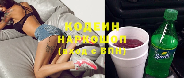 первитин Инсар