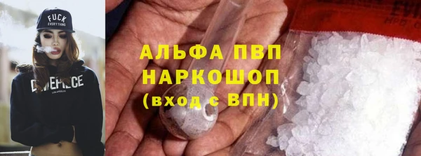 эйфоретик Инта