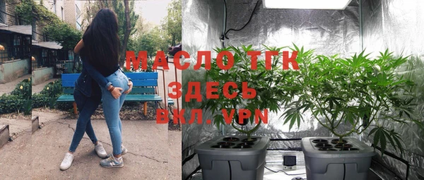 эйфоретик Инта