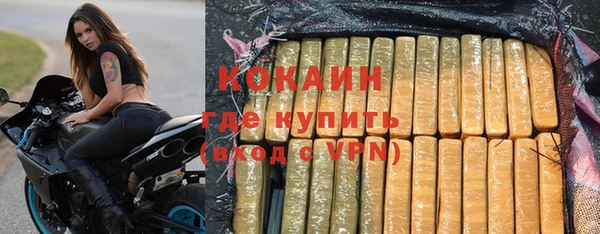 эйфоретик Инта