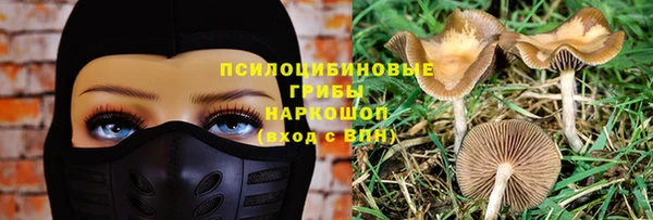 эйфоретик Инта