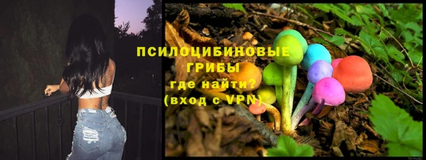 первитин Инсар