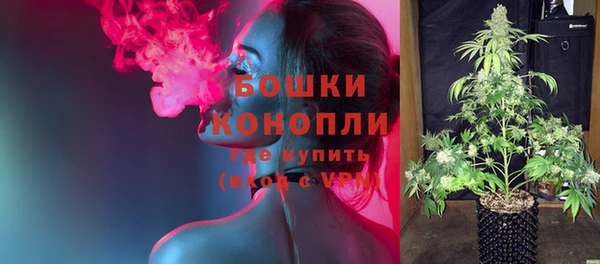 эйфоретик Инта
