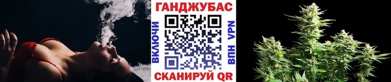 Купить Котельниково Конопля гибрид